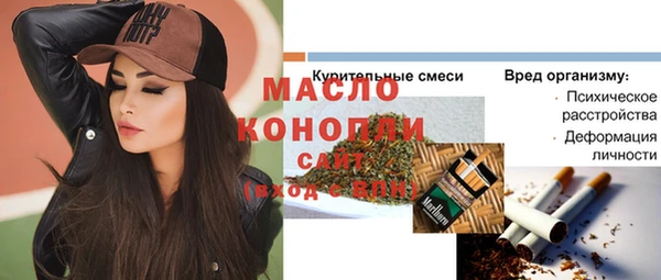 амф Верхний Тагил