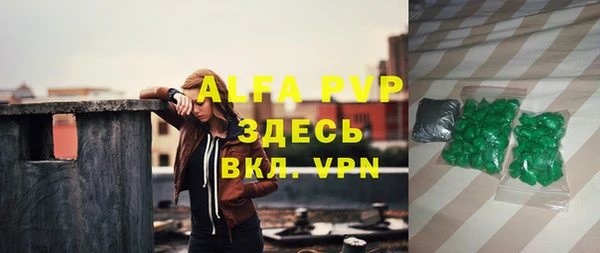 амф Верхний Тагил