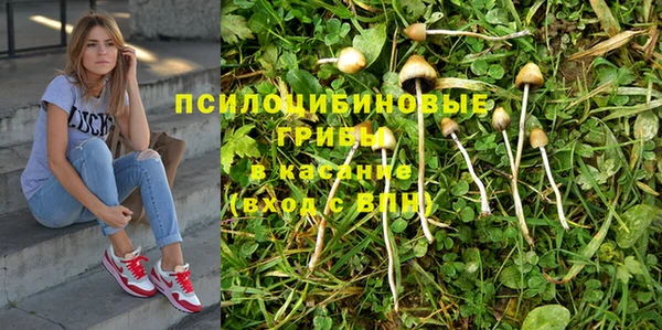 амф Верхний Тагил